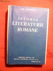 Gh.Adamescu - Istoria Literaturii Romane cca1922 BPT foto