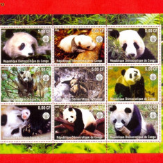 ST-31=PANDA 8 Republica Democrata Congo Bloc de 9 timbre nestampilate MNH