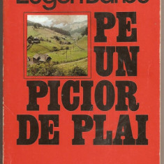 (C809) PE UN PICIOR DE PLAI DE EUGEN BARBU, EDITURA SPORT - TURISM, BUCURESTI, 1978