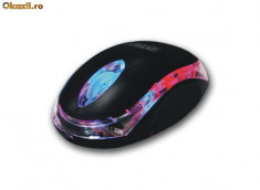 Mouse optic Intex Little Wonder USB foto