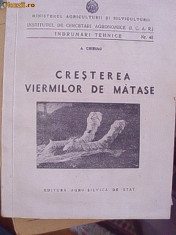 CRESTEREA VIERMILOR DE MATASE foto