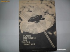 Constantinescu Corneliu -Plante medicinale din flora spontana foto