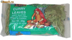 Frunzele de curry 20 g foto