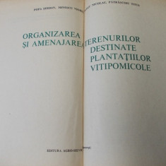 ORGANIZAREA SI AMENAJAREA TERENURILOR DESTINATE PLANTATIILOR VITIPOMICOLE ,1967*