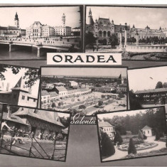 carte postala-ORADEA-colaj