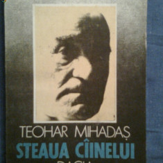 Steaua cainelui-Teohar Midahas