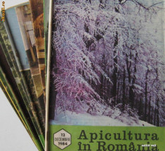 APICULTURA IN ROMANIA,colectie completa pe anul 1984 (stuparit,albinelor,stuparului,albinarit) 8 lei/revista foto