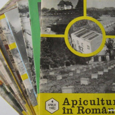 APICULTURA IN ROMANIA,colectie completa pe anul 1982 (stuparit,albinelor,stuparului,albinarit) 8 lei/revista