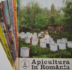 APICULTURA IN ROMANIA,colectie completa pe anul 1981 (stuparit,albinelor,stuparului,albinarit) 8 lei/revista foto