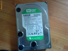 vand hard disk western digital 640 g 64mb cache bufer foto