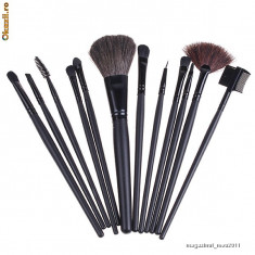 trusa de 12 pensule din par natural make up profesionale + borseta Cadou, speciala pentru trusele de machiaj 120, 168, 88, paleta, trusa foto