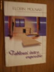 FLORIN MOLNAR (autograf ) - Tablouri intr-o Expozitie - poezie - 2000
