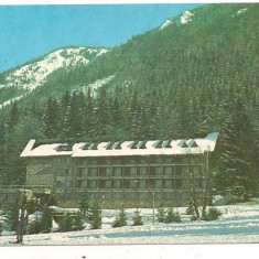 carte postala(ilustrata)-POIANA BRASOV-Hotel Bradul