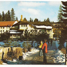 carte postala(ilustrata)-POIANA BRASOV-Hotel Alunis