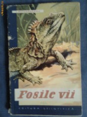 Fosile vii-L.Botosaneanu foto