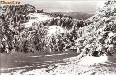 CP 209-95 Masivul Postavarul -Cabana ,,Cristianul Mare" -RPR -necirculata -starea care se vede