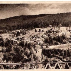 CP 210-26 Poiana Tapului -Vedere spre Zamora -RPR -circulata 1955 -sepia -starea care se vede, timbrele au fost dezlipite