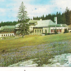 carte postala(ilusrata)-POIANA BRASOV-Hotel Sport