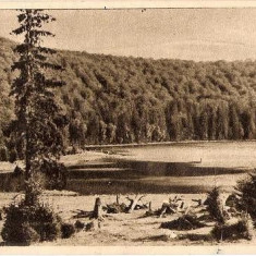 CP 210-03 Tusnad -Lacul Sf.Ana -RPR -circulata 1955 -sepia -starea care se vede, timbrul a fost dezlipit