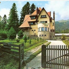 CP 211-31 Sinaia -Vila ,,Movilita" -necirculata -starea care se vede