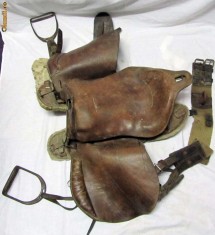 Saua calarie, echitatie foto