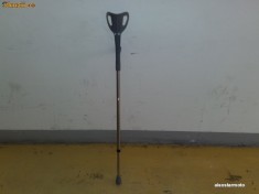 CARJA CANADIANA foto