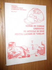 NORME DE CONSUM ORIENTATIVE PE ARTICOLE DE DEVIZ PENTRU LUCRARI DE TUNELURI T 1993 foto