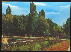 CARTE POSTALA - BACAU VEDERE DIN PARC foto