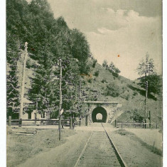 1873 - BUSTENI, Prahova, Railway Tunnel - old postcard - unused