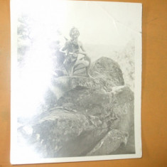 Fotografie veche arta erotica nud femeie cu caine pe stanca 16 x 13 cm