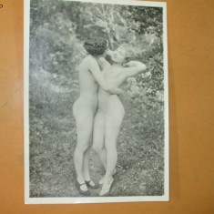 Fotografie veche arta erotica 2 nuduri femei in natura 18 x 13 cm