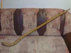 Bucium - instrument muzical specific romanesc foto