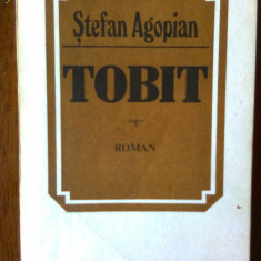 Tobit-Stefan Agopian