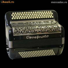 Accordeon cavagnolo foto