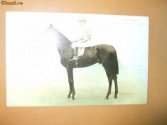 Carte postala echitatie cal animale Anglia jocheu Derby winner 1903 Rock Sand foto