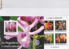 Flora orhidee St Tome &amp;amp;amp; Principe. foto
