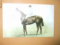 Carte postala echitatie cal animale Anglia jocheu Derby winner 1901 Volodyovski foto