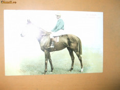 Carte postala echitatie cal animale Anglia jocheu Derby winner 1904 St. Amant foto