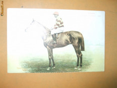 Carte postala echitatie cal animale Anglia jocheu Derby winner 1905 Cicero foto