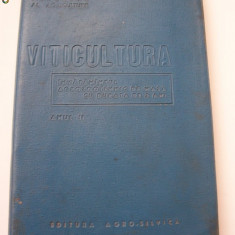 VITICULTURA ANUL 1964 . EDITURA AGROSILVICA