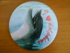 insigna we love dolphins foto