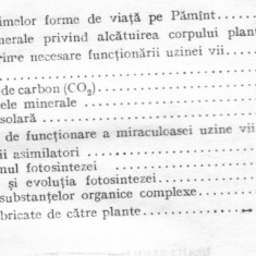 Doina-Liana Toma ,Al Manoliu, V Zanoschi - Planta - o uzina vie