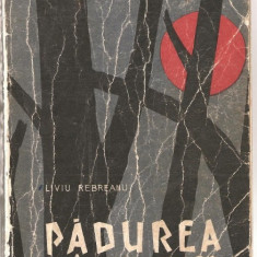 (C1086) PADUREA SPINZURATILOR DE LIVIU REBREANU, EDITURA PENTRU LITERATURA, BUCURESTI, 1966, PREFATA DE SILVIAN IOSIFESCU