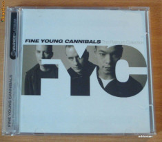 Fine Young Cannibals - The Platinum Collection foto