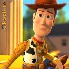 Costum Toy Story SERIFUL WOODY foto