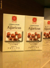 Agaricus Murill - Ciuperca lui Dumnezeu - Japan made foto