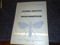 Lucrari practice de zoologia nevertebratelor - curs - Matic / Darabantu - 1965 foto