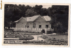 Baile Felix - Cafeneaua, ilustrata circulata 1942 foto