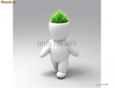 Planta bibelou omulet cu par din iarba DIY alb ideal pt decoratie foto