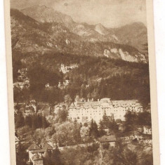 carte postala(ilustrata)-SINAIA